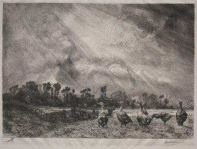 Stormskyen, 1878-1887. af Felix Bracquemond