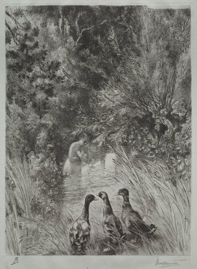 De overraskede ænder af Felix Bracquemond