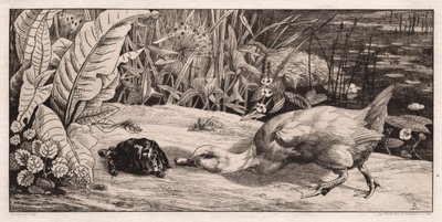 Det ukendte, 1862. af Felix Bracquemond