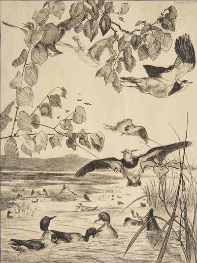 Viber og Sarcelles, 1862. af Felix Bracquemond