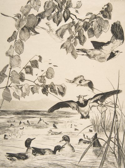Viber og Sarcelles, 1862. af Felix Bracquemond
