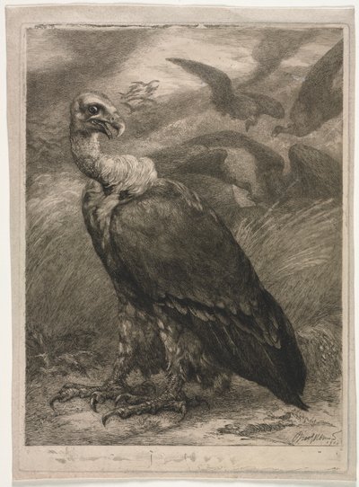 Grib af Felix Bracquemond