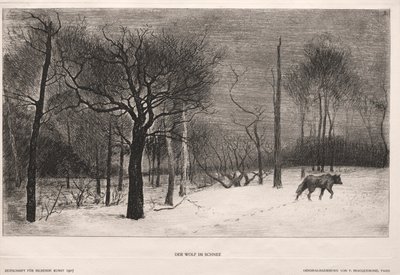 Vinter af Felix Bracquemond