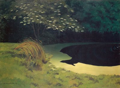 Dammen af Felix Edouard Vallotton