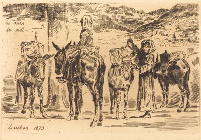 Ark med æsler fra syd, 1873. af Felix Hilaire Buhot