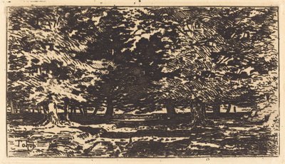 Skov af Felix Hilaire Buhot