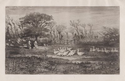 Gæs, 1860-98. af Felix Hilaire Buhot