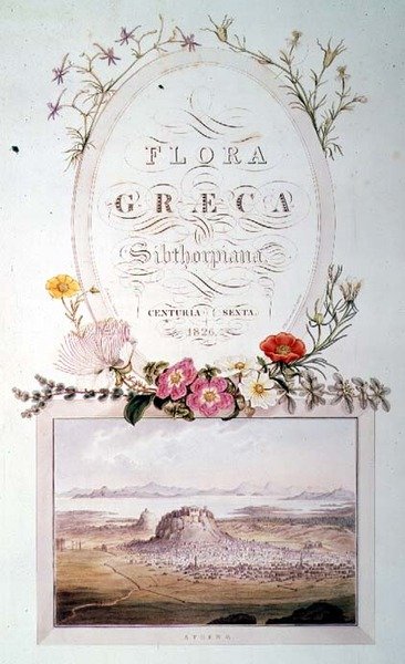 Titelside til bind 6 af 
