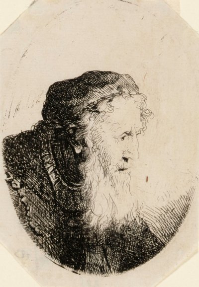 Gammel mand med bølgende skæg af Ferdinand Bol