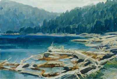 Šumava (fra porteføljen "16 udsigter over tjekkiske landskaber 