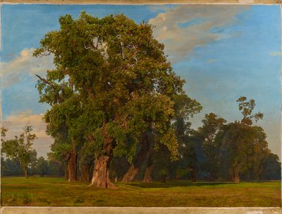 Stort Prater-landskab af Ferdinand Georg Waldmuller