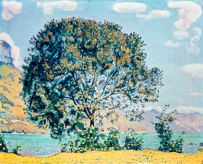 Ukendt billede af Ferdinand Hodler