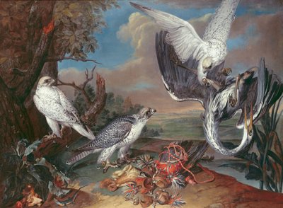 Grønlandske Cyr Falcons af Ferdinand Phillip de Hamilton