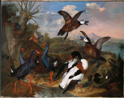 Skalænder og andre fugle i et landskab, 1720 af Ferdinand Phillip de Hamilton