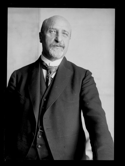 Billede af Karl Seitz (1869-1950) af Ferdinand Schmutzer