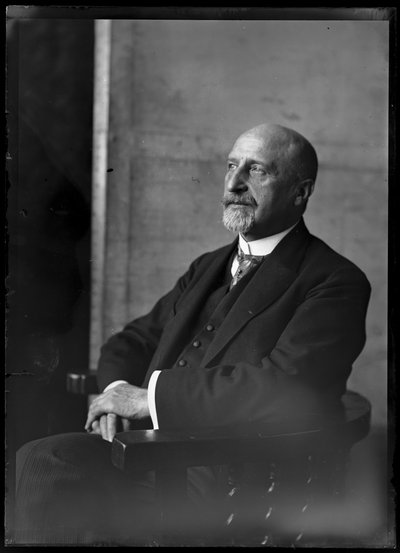 Billede af Karl Seitz (1869-1950) af Ferdinand Schmutzer