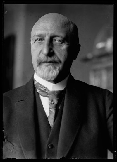 Billede af Karl Seitz (1869-1950) af Ferdinand Schmutzer