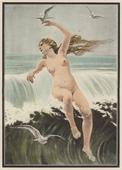 Bølger og måger (farve litho) af Ferdinand Victor Eugene (after) Delacroix