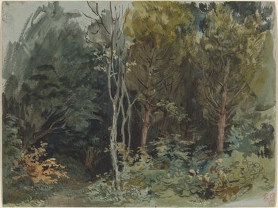 Edge of a Wood at Nohant, ca. 1842-1843 (akvarel) af Ferdinand Victor Eugene Delacroix