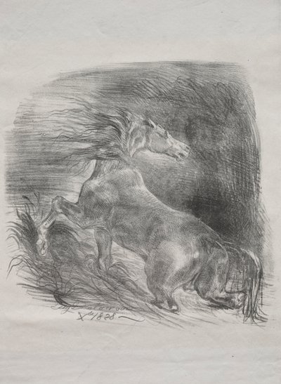 The Wild Horse, eller Frightened Horse Leaving the Water, 1828. af Ferdinand Victor Eugene Delacroix