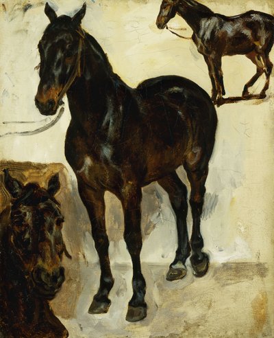 Tre undersøgelser af heste; Tre studier af heste, c.1823 af Ferdinand Victor Eugene Delacroix
