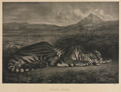 Royal Tiger, 1829. af Ferdinand Victor Eugene Delacroix