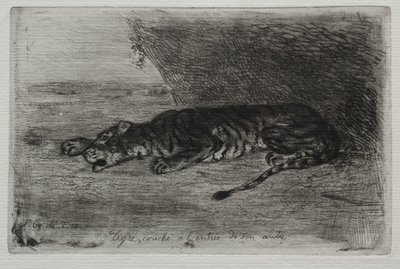 Tiger liggende ved indgangen til sin hule. af Ferdinand Victor Eugene Delacroix