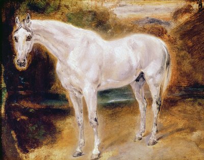 Hvide hest af Ferdinand Victor Eugene Delacroix
