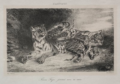 Ung tiger leger med sin mor, 1831. af Ferdinand Victor Eugene Delacroix