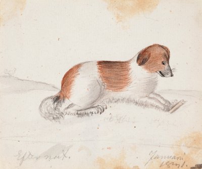 Hund af Ferdinand von Wright