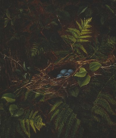 Fuglerede og bregner, 1863. af Fidelia Bridges