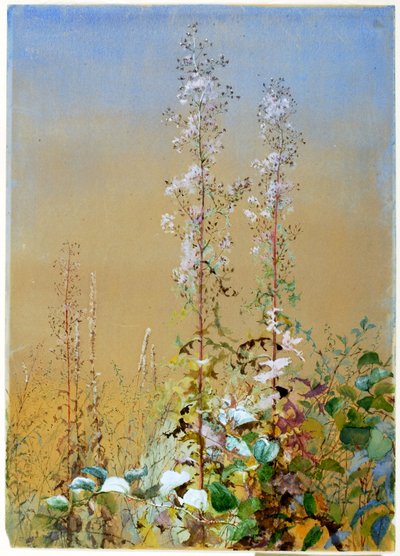 Uden titel, ca. 1876. af Fidelia Bridges