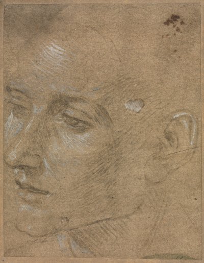 Leder af en ung mand af Filippino Lippi