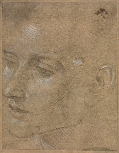 Head of a Young Man, anden halvdel af 1400-tallet. af Filippino Lippi