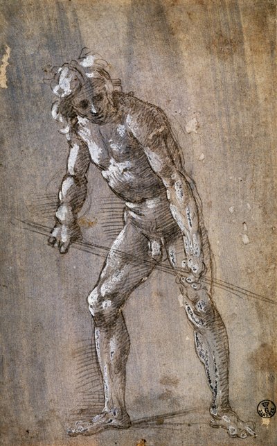 Mandsfigur af Filippino Lippi