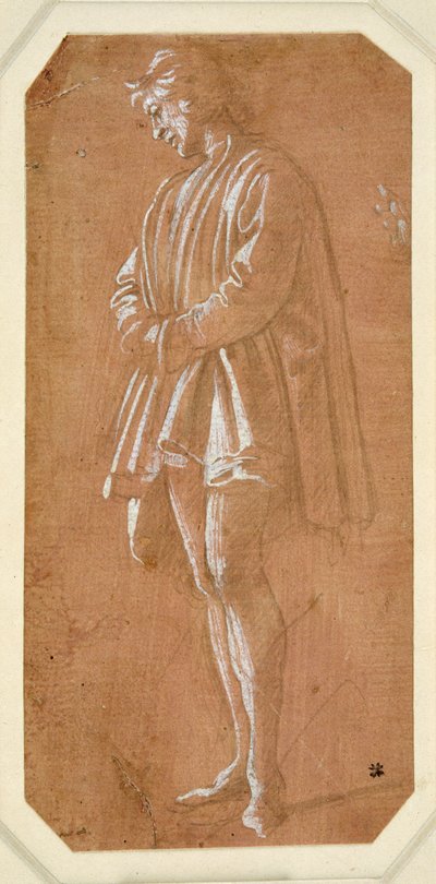 Studie af en ung mand, der står med hænderne foldet i ærmerne (metalpoint på papir fremstillet pink, forhøjet med hvid kropsfarve) af Filippino Lippi