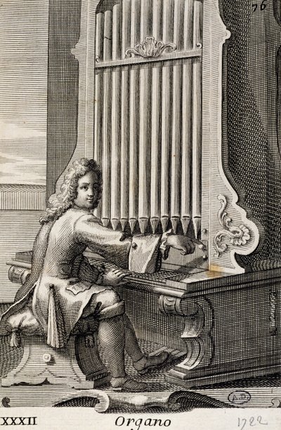 Mand spiller orgel af Filippo Bonanni
