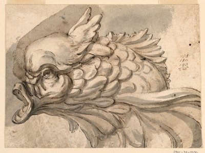 Tegning, Hoved af en delfin, ca. 1775 af Filippo Marchionni