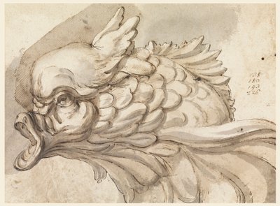 Tegning, hoved af en delfin, ca. 1775 af Filippo Marchionni