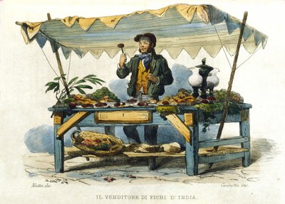 Lille metier af byen Napoli: sælgeren af stikkende pløkke. Stik efter maleri af F. Palizza. Fra et værk af Francesco de Bourcard "" Costumi del regno di Napoli"" af Filippo Palizzi