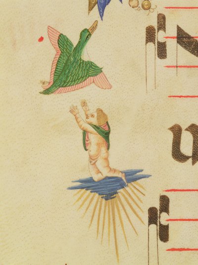Missal 515 f.13v En kappet kerub, der forsøger at fange en flyvende fugl, fra en dekorativ kant, detalje fra en korbog udført før 1449 vellumdetalje af 56721 af Filippo di Matteo Torelli