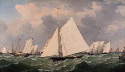 New York Yacht Club Regatta, 1856 af Fitz Henry Lane