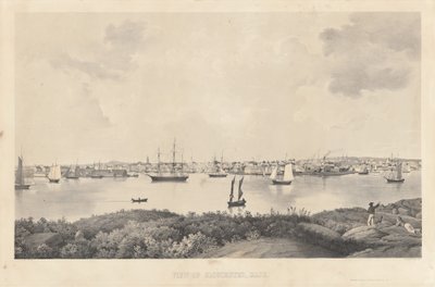 Udsigt over Gloucester, Mass. af Fitz Henry Lane