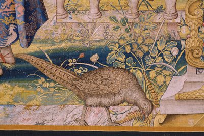 flamsk gobelin. Serien Vertumnus og Pomona: Vertumnus forvandlet til en landmand (Vertumnus som landmand, Vertumno transformado og landbruger). Studio Willem de Pannemaker. ca 1545-1550. Detalje. af Flemish School