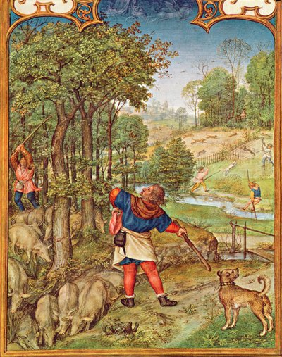 Fol.11v November måned: Høst agern til grisene og jagt, fra Breviarium Grimani, ca. 1515 af Flemish School