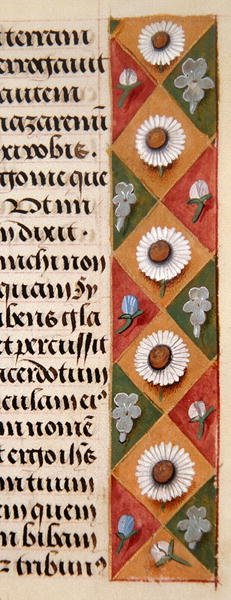Ms. 1058-1975, f.16r: detalje af en blomsterkant fra en timebog, ca. 1500 (vellum) af Flemish School