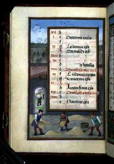 Ms 1058-1975 f8v Kornhøstning i en lade, illumineret kalenderblad for august, fra en tidebog, ca. 1500 (pergament) af Flemish School