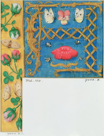 Ms 134 Oplyst bogstav `A og sidekant af blomster, fra en timebog, ca. 1500 af Flemish School