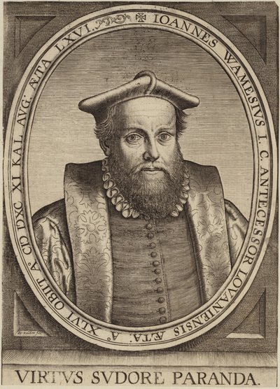 Portræt af Jan Wamesius af Flemish School