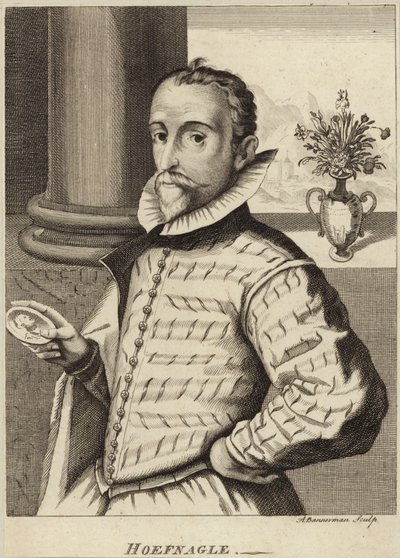 Portræt af Joris Hoefnagel af Flemish School
